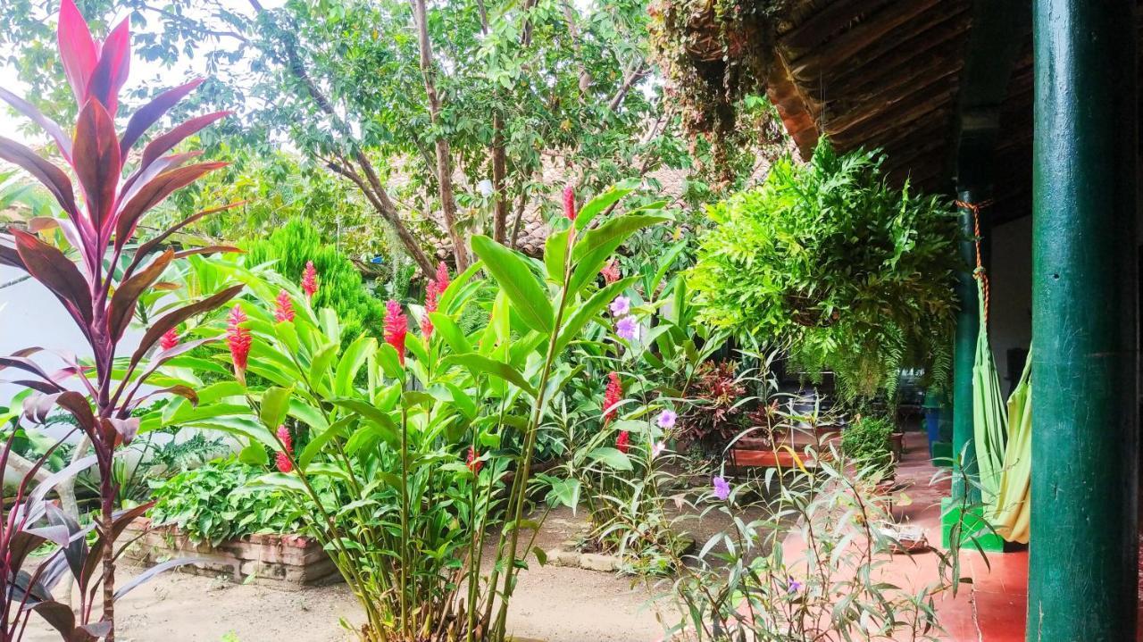 Cafe Mompox - Colonial Houseアパートメント エクステリア 写真